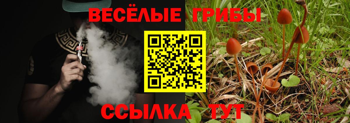 даркнет сайт  Псилоцибиновые грибы Cubensis  Вход с VPN  Тара 