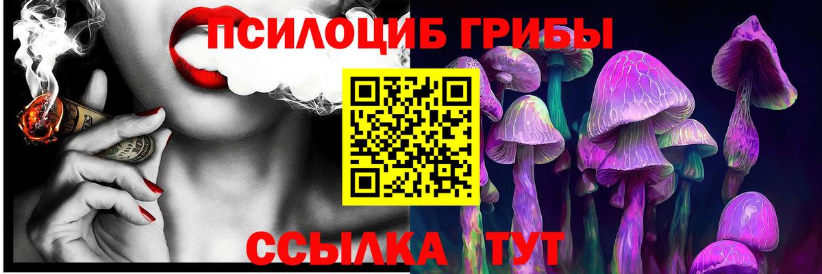 Псилоцибиновые грибы Psilocybine cubensis Тара